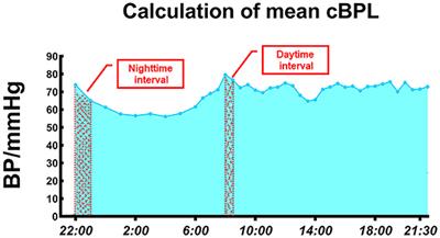 Blood Pressure Load: An Effective Indicator of Systemic Circulation Status in Individuals With Acute Altitude Sickness